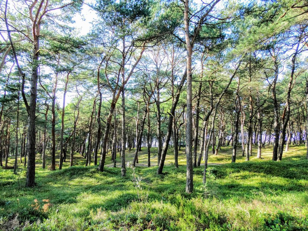 Domek Letniskowy Grazyna Villa Kopalino Exteriör bild